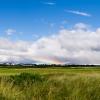 Scotland 2015-011