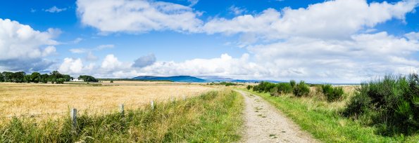 Scotland 2015-021