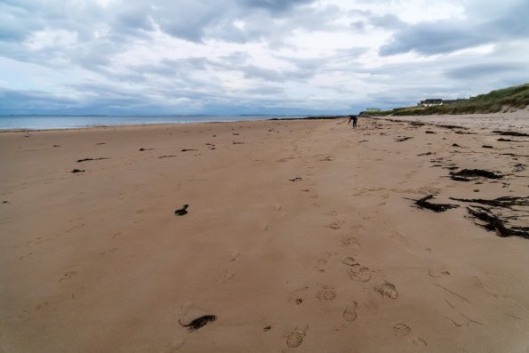 Scotland 2015-027