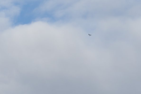 Scotland 2015-036