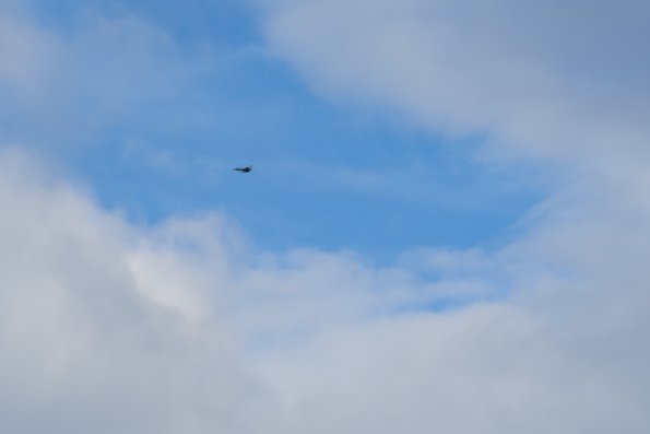 Scotland 2015-042