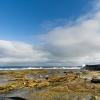 Scotland 2015-060