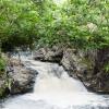 Scotland 2015-018