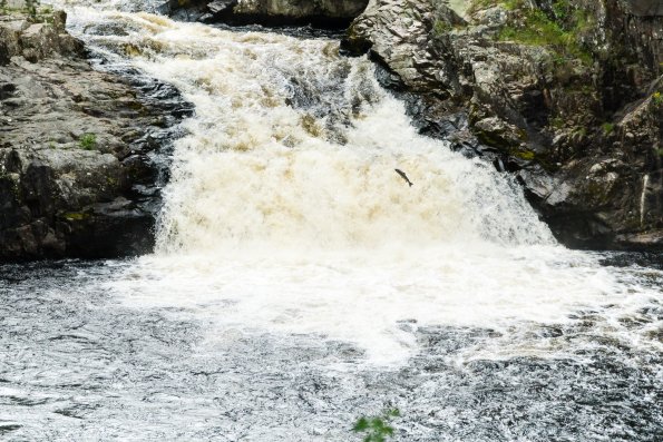 Scotland 2015-022
