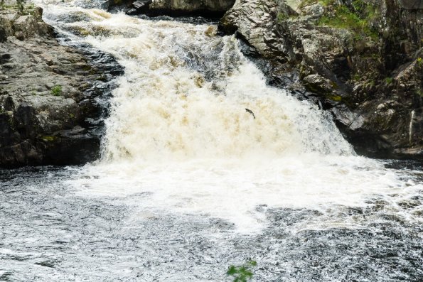 Scotland 2015-023