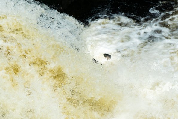 Scotland 2015-030
