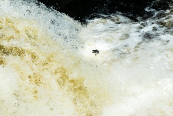 Scotland 2015-031