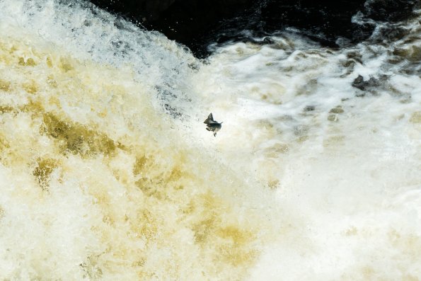 Scotland 2015-032