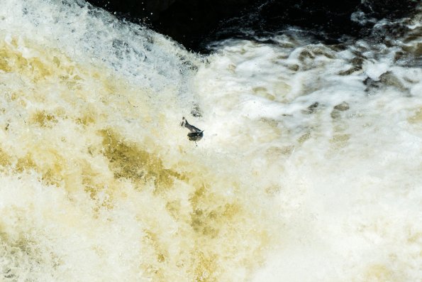 Scotland 2015-033