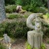 Scotland 2015-023