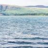 Scotland 2015-030
