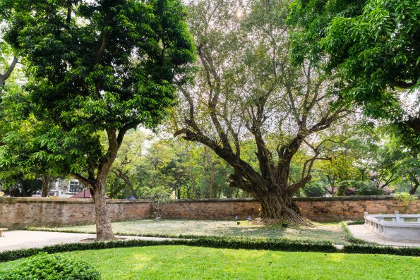 Hanoi-25