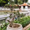 Hanoi-30