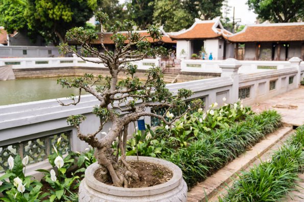 Hanoi-30