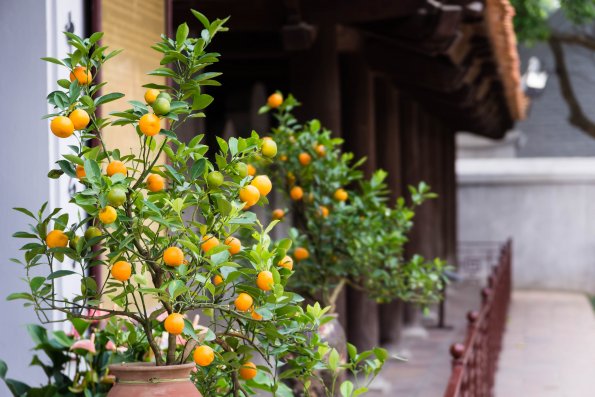 Hanoi-34