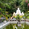 Hoi An-37