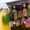 Hoi An-44