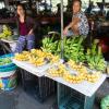 Hoi An-51