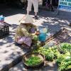 Hoi An-58