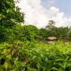 Mekong Delta-36
