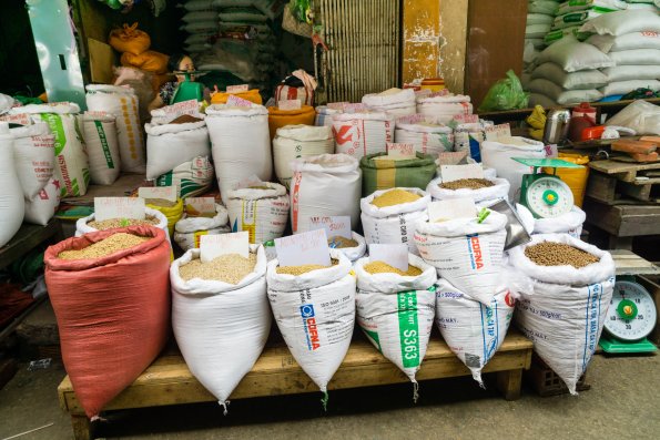Mekong Delta-40