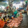 Mekong Delta-48