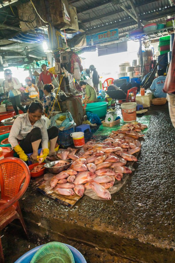 Mekong Delta-48