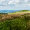 Winter Hill-022